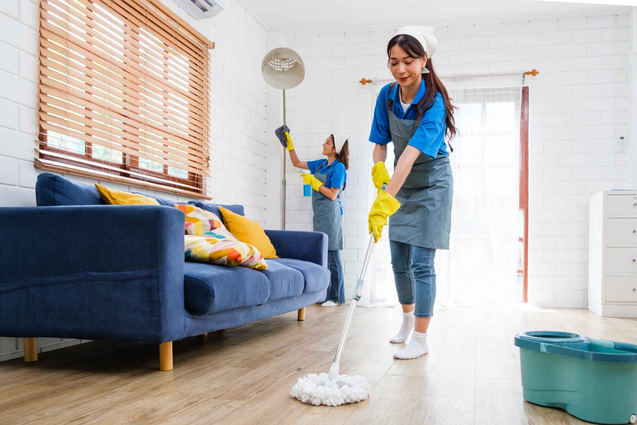 Domestic Cleaning